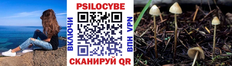 Купить  Оха  Псилоцибиновые грибы мицелий 